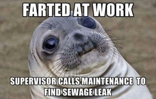 punch yourself in the face meme - Farted At Work Supervisor Calls Maintenance To Find Sewage Leak