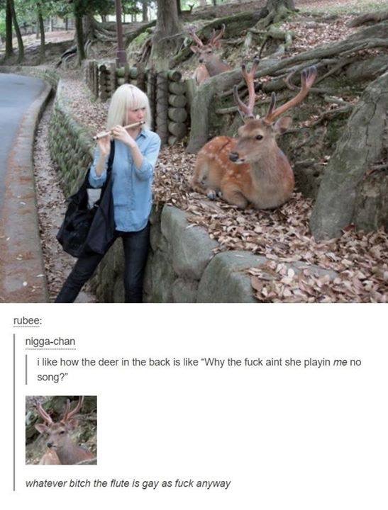 deer flute meme - rubee niggachan i how the deer in the back is "Why the fuck aint she playin me no song?" whatever bitch the flute is gay as fuck anyway