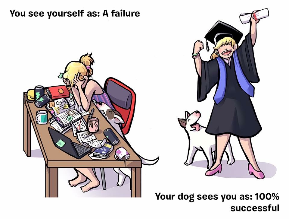 your dog sees you - You see yourself as A failure Your dog sees you as 100% successful