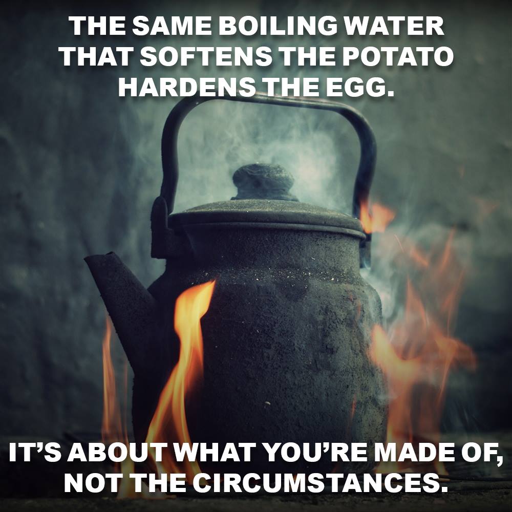 same boiling water that softens the potato hardens the egg - The Same Boiling Water That Softens The Potato Hardens The Egg. It'S About What You'Re Made Of, Not The Circumstances.