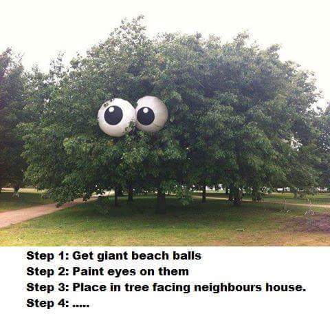 beach balls in trees - Step 1 Get giant beach balls Step 2 Paint eyes on them Step 3 Place in tree facing neighbours house. Step 4 ......