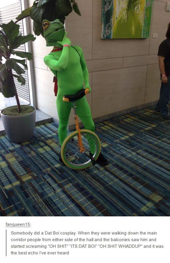 dat boi cosplay - fanqueen 15 Somebody did a Dat Boi cosplay. When they were walking down the main corridor people from either side of the hall and the balconies saw him and started screaming "Oh Shit" "Its Dat Boi" "Oh Shit Whaddup" and it was the best e