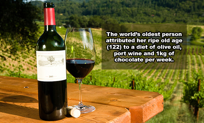 21 Shocking Facts You Most Likely Didn't Know About Wine