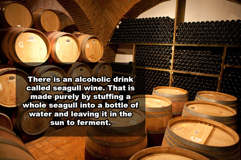 21 Shocking Facts You Most Likely Didn't Know About Wine