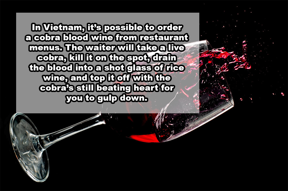 21 Shocking Facts You Most Likely Didn't Know About Wine