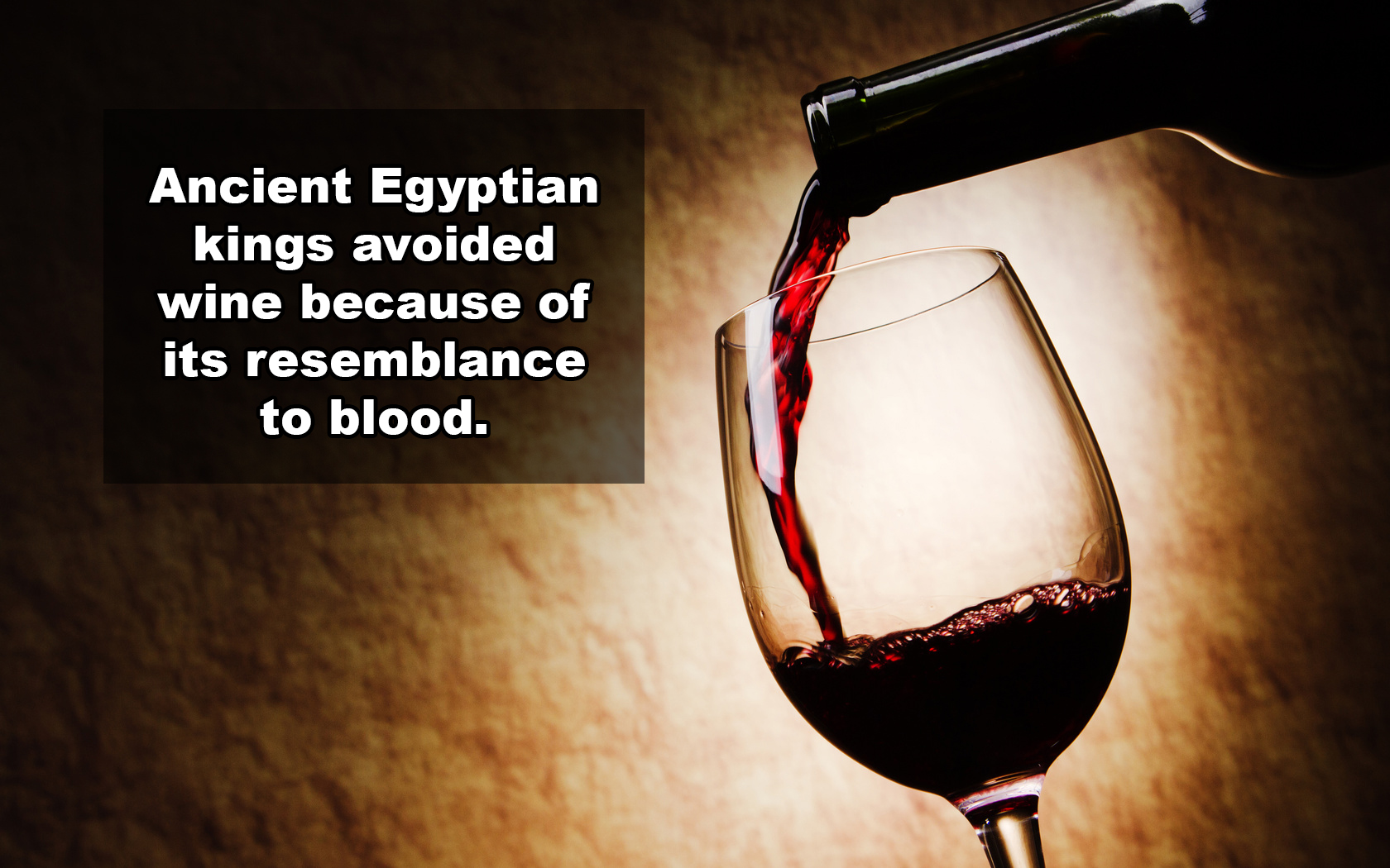 21 Shocking Facts You Most Likely Didn't Know About Wine