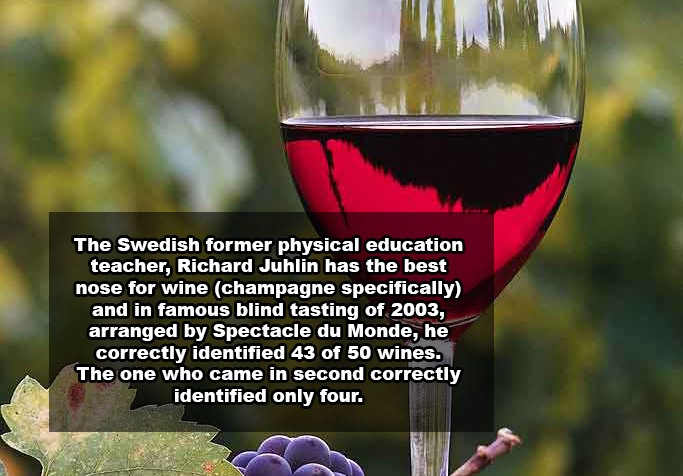 21 Shocking Facts You Most Likely Didn't Know About Wine