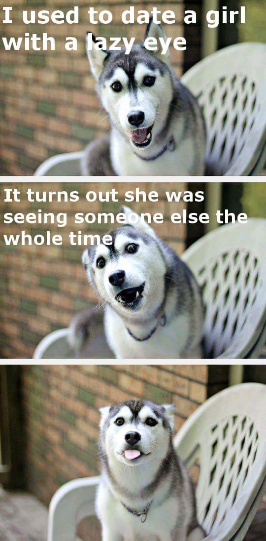 dad joke husky - I used to date a girl with a lazy eye It turns out she was seeing someone else the whole time