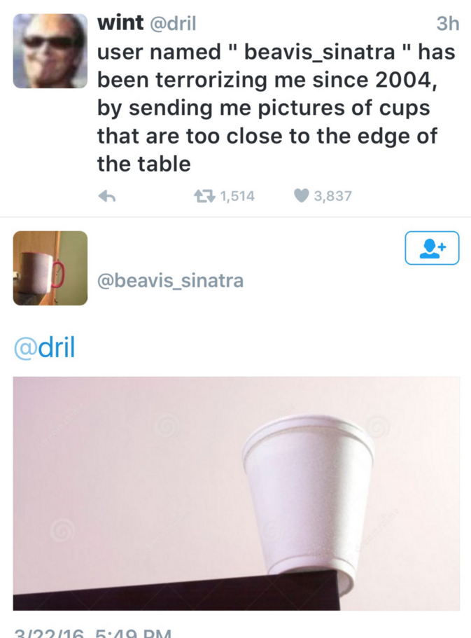 angle - wint 3h user named "beavis_sinatra " has been terrorizing me since 2004, by sending me pictures of cups that are too close to the edge of the table 6 27 1,514 3,837 2122116