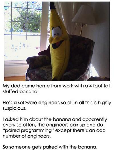 banana programmer - My dad came home from work with a 4 foot tall stuffed banana. He's a software engineer, so all in all this is highly Suspicious. I asked him about the banana and apparently every so often, the engineers pair up and do "paired programmi