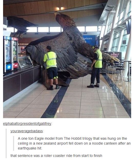 new zealand hobbit airport fell - prizons Donut elphabaforpresidentofgallifrey youraveragebadass A one ton Eagle model from The Hobbit trilogy that was hung on the ceiling in a new zealand airport fell down on a noodle canteen after an earthquake hit. tha
