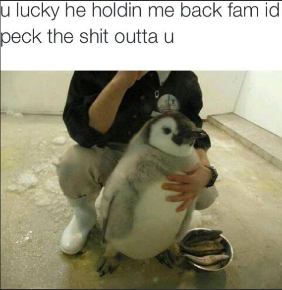 chubby penguin - u lucky he holdin me back fam id peck the shit outta u