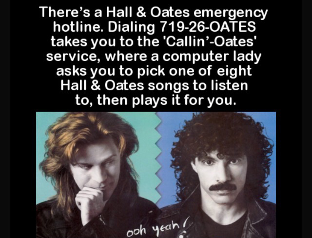 memes - hall and oates hotline - There's a Hall & Oates emergency hotline. Dialing 71926Oates takes you to the 'CallinOates' service, where a computer lady asks you to pick one of eight Hall & Oates songs to listen to, then plays it for you. ooh yeah!