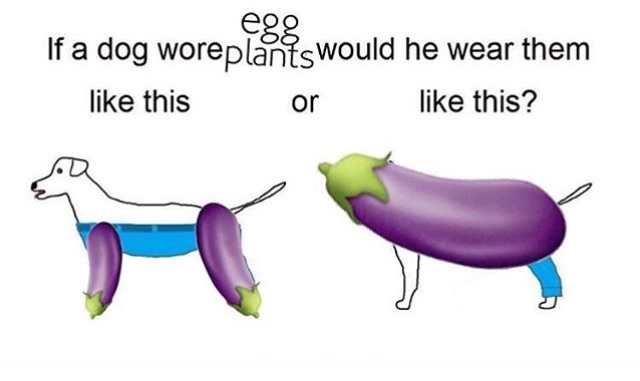 memes - if a dog would wear pants - If a dog woreplant swould he wear them this or this?