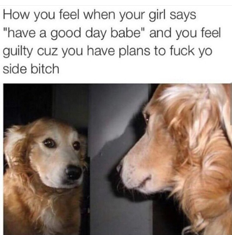 memes - funny animal memes - How you feel when your girl says "have a good day babe" and you feel guilty cuz you have plans to fuck yo side bitch