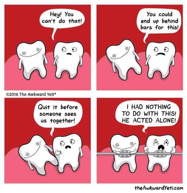 braces funny memes - Hey! You can't do that! You could end up behind bars for this! 2016 The Awkward Yeti Quit it before someone sees us together! I Had Nothing To Do With This! He Acted Alone! S the Awkwardyeti.com