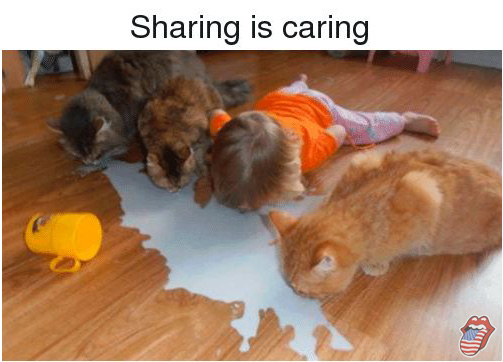 toddlers and cats - Sharing is caring