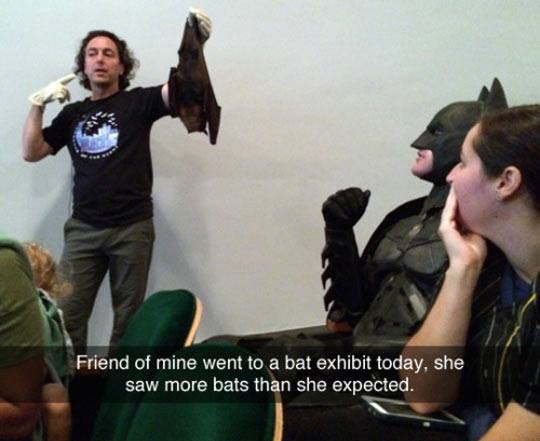 hand - Friend of mine went to a bat exhibit today, she saw more bats than she expected.