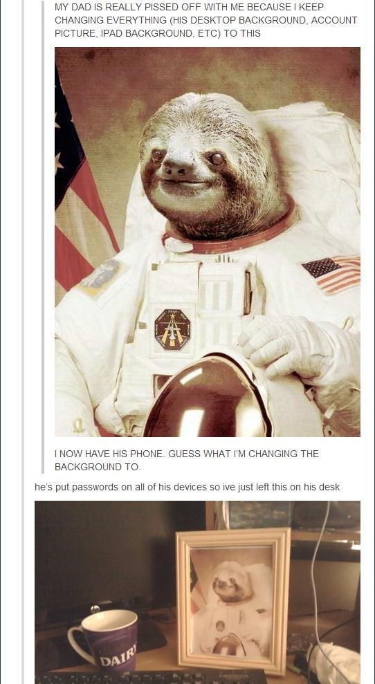 astronaut sloth - My Dad Is Really Pissed Off With Me Because I Keep Changing Everything His Desktop Background, Account Picture, Ipad Background, Etc To This I Now Have His Phone. Guess What I'M Changing The Background To he's put passwords on all of his