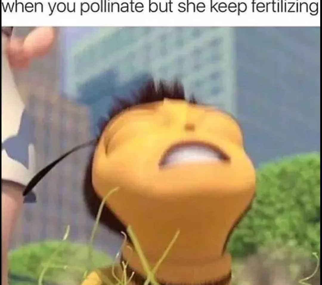 cool dank memes the bee movie - when you pollinate but she keep fertilizing
