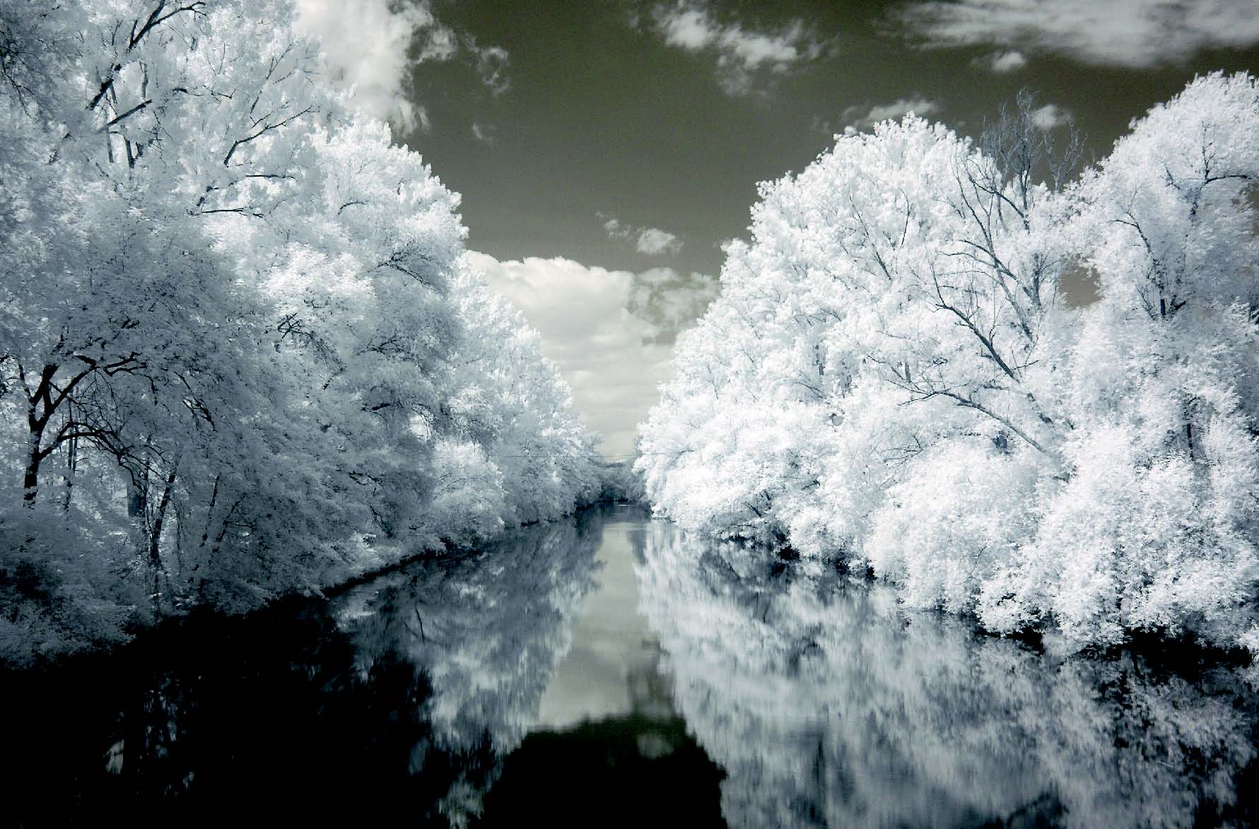 cool digital infrared photography