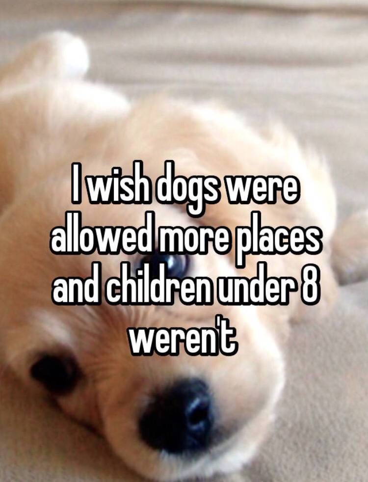cool puppy - Iwish dogs were allowed more places and children under 8 weren't
