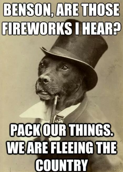 memes - dog memes for 4th of july - Benson, Are Those Fireworks I Hear? Pack Our Things We Are Fleeing The Country