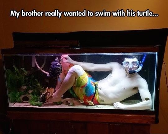 memes - guy in fish tank - My brother really wanted to swim with his turtle...