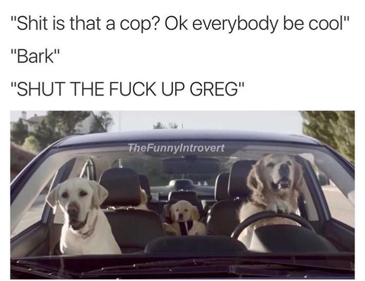 memes - dogs driving car - "Shit is that a cop? Ok everybody be cool" "Bark" "Shut The Fuck Up Greg" TheFunnylntrovert