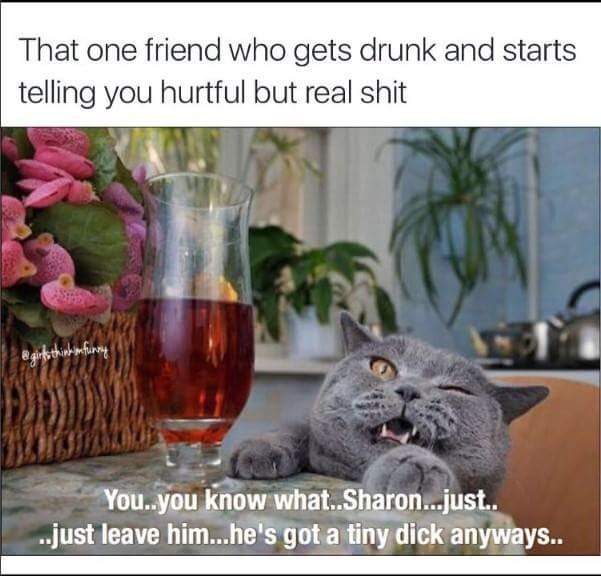 memes - That one friend who gets drunk and starts telling you hurtful but real shit You..you know what..Sharon...just.. ..just leave him...he's got a tiny dick anyways..