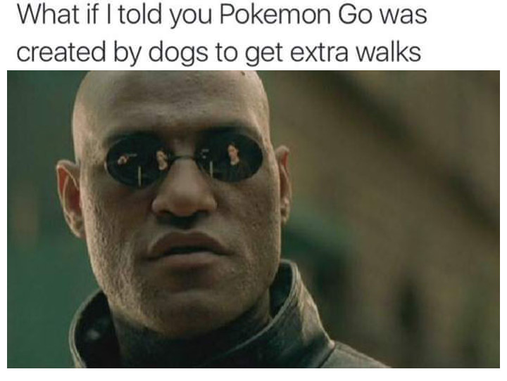 if i told you - Nas What if I told you Pokemon Go was created by dogs to get extra walks