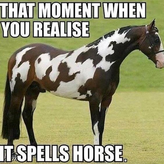 freebird records - That Moment When You Realise T Spells Horse.