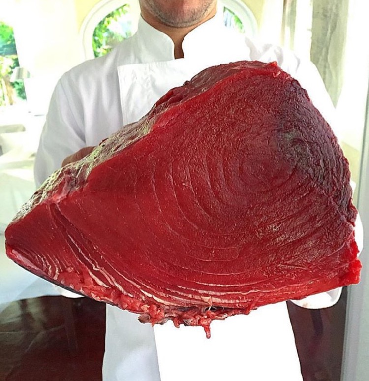 tuna red