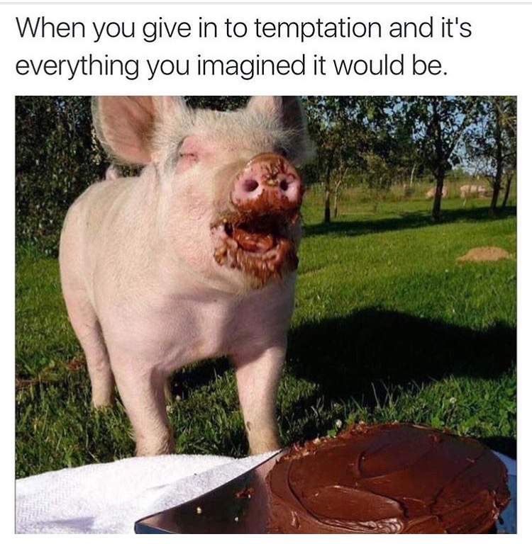 meme - eat the booty like groceries - When you give in to temptation and it's everything you imagined it would be.