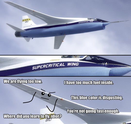 meme - supercritical wing meme - Supercritical Wing We are flying too low. I have too much fuel inside. This blue color is disgusting. You're not going fast enough Where did you learn to fly, idiot Biu