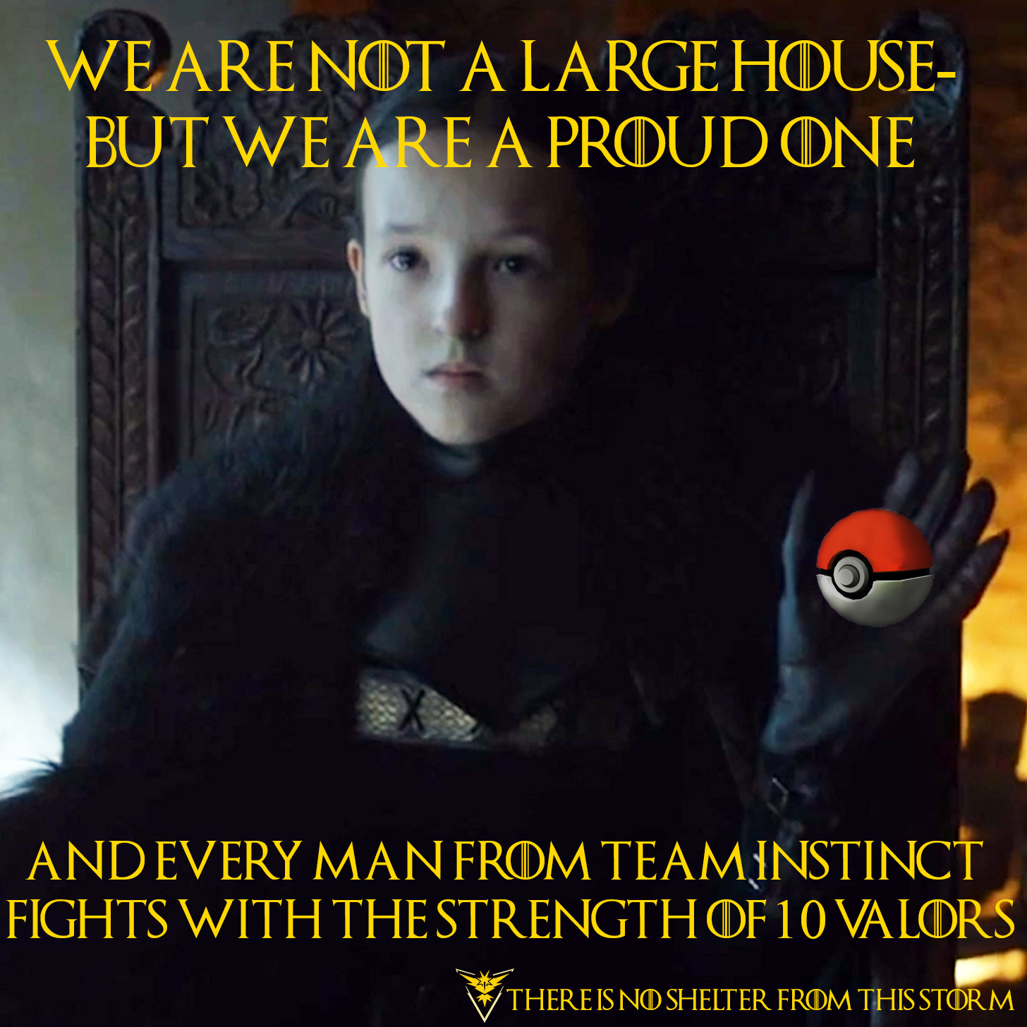 meme - team instinct meme - We Are Not A Large House But We Are A Proud One And Every Man From Teaminstinct Fights With The Strength Of 10 Valors There Is No Shelter From This Storm