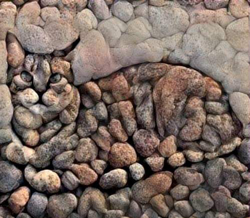 stone mosaic cat