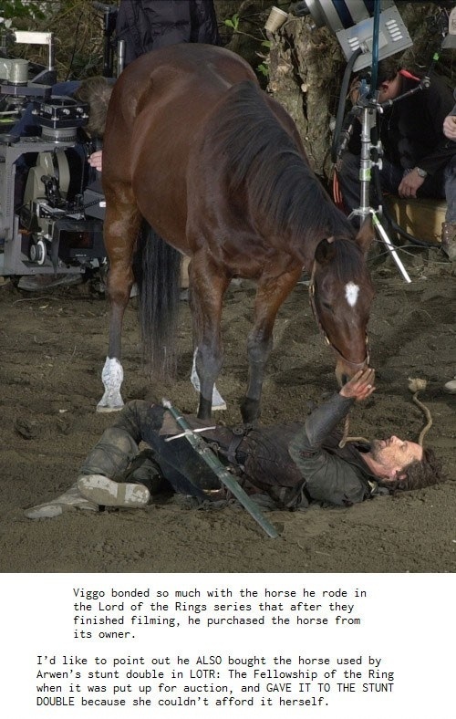 brego horse - Viggo bonded so much with the horse he rode in the Lord of the Rings series that after they finished filming, he purchased the horse from its owner. I'd to point out he Also bought the horse used by Arwen's stunt double in Lotr The Fellowshi