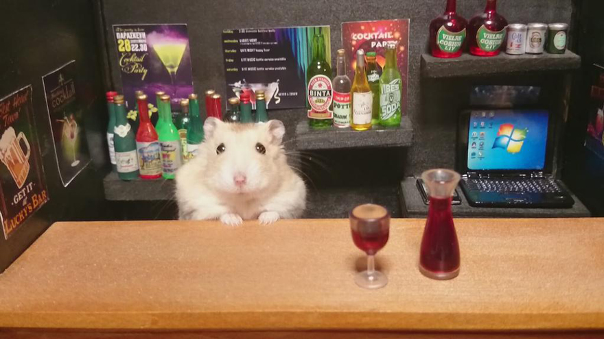 hamster drinking wine - Darkeren 2822.30 Kcocktail Pap Cosip Getit Leuchys Bar