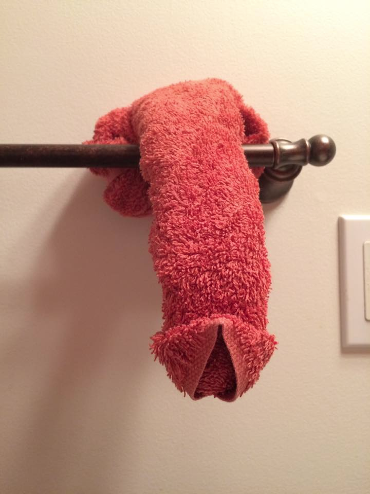 towel art penis