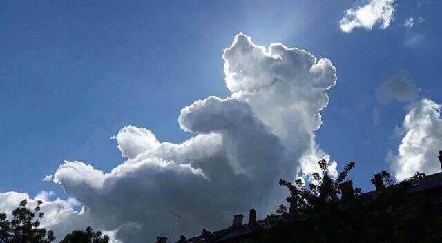 winnie the pooh cloud
