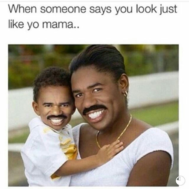 steve harvey family meme - When someone says you look just yo mama..