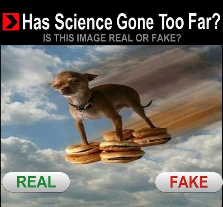 real or fake - Has Science Gone Too Far? Is This Image Real Or Fake? Real Fake