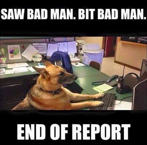 saw bad man bit bad man - Saw Bad Man. Bit Bad Man. End Of Report