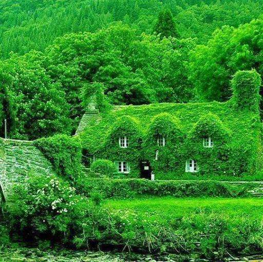500 year old tea house wales