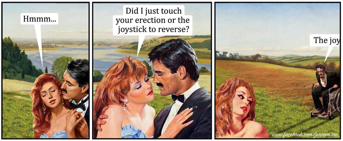 jeroom snelders cartoons - Hmmm... Did I just touch your erection or the joystick to reverse? The joy