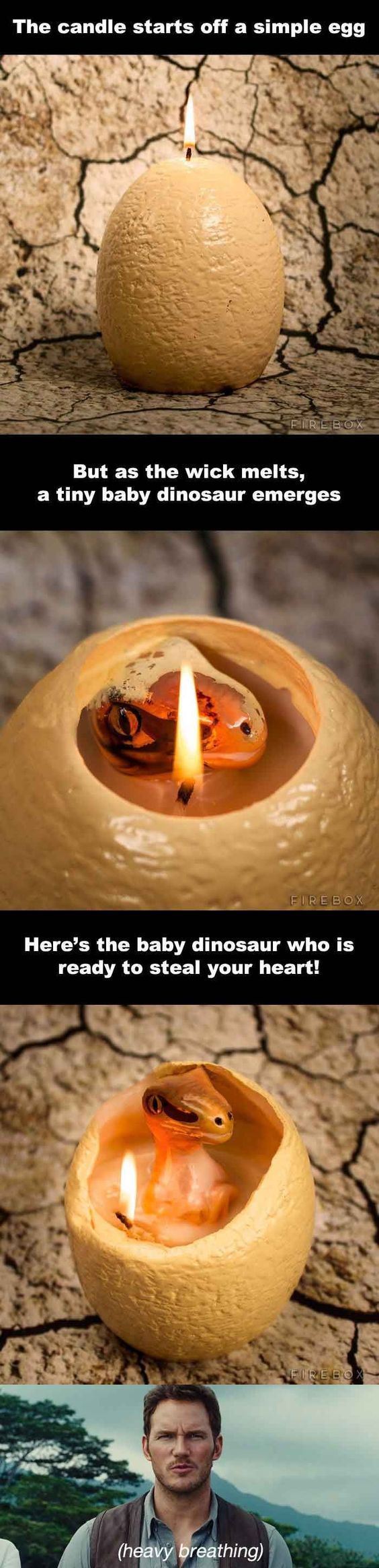 Dinosaur - The candle starts off a simple egg Fire Box But as the wick melts, a tiny baby dinosaur emerges Fure Box Here's the baby dinosaur who is ready to steal your heart! Fire Box heavy breathing