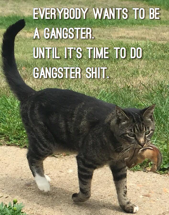 everyone wants to be gangster until it's time to do gangster shit - Everybody Wants To Be A Gangster. Until It'S Time To Do Gangster Shit.