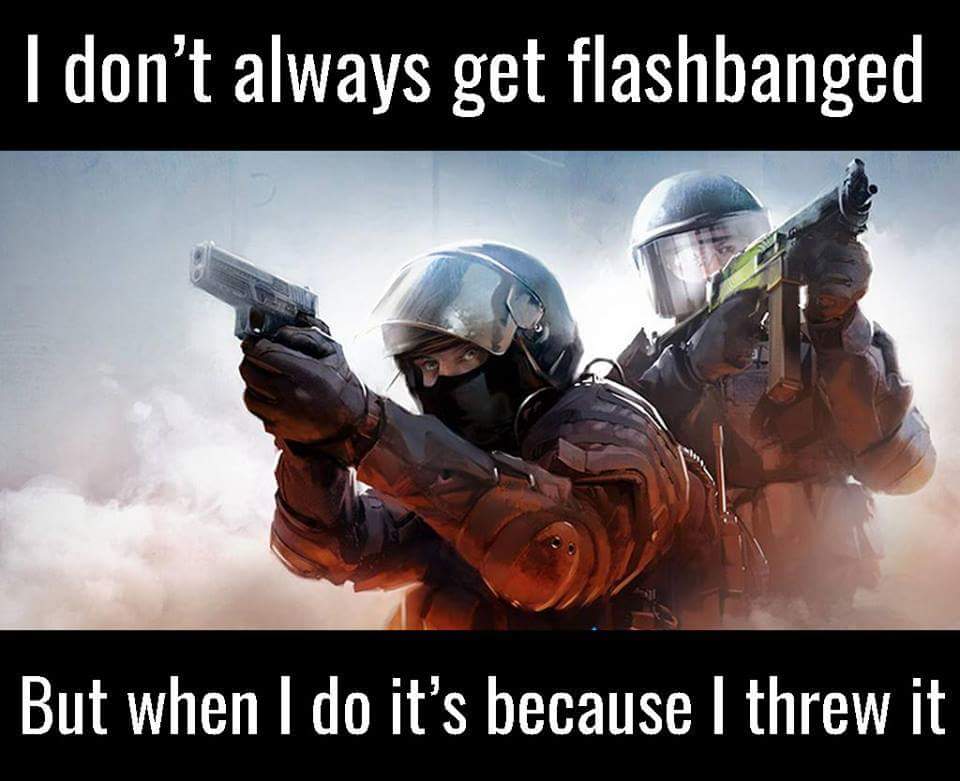 I don't always get flashbanged But when I do it's because I threw it