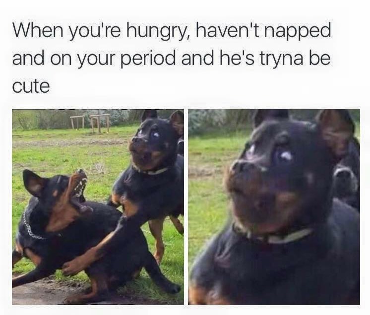 period memes - When you're hungry, haven't napped and on your period and he's tryna be cute